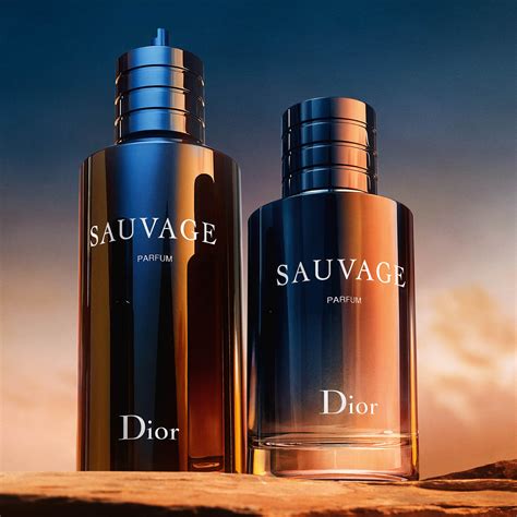 herrendurft dior